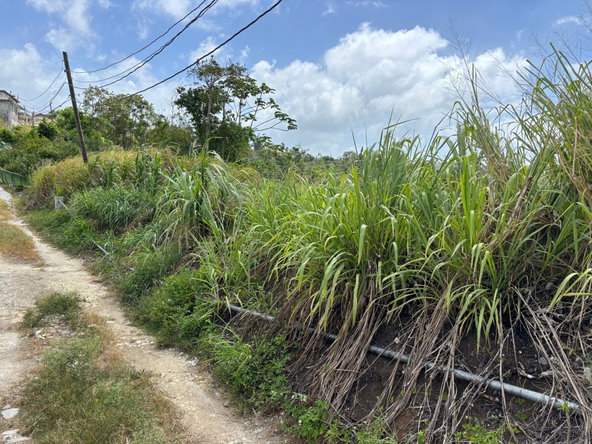 Fifth image of Free Hill Road in Bamboo, St. Ann, Jamaica - property is For Sale