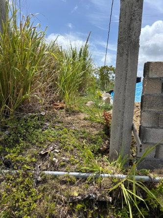 Sixth image of Free Hill Road in Bamboo, St. Ann, Jamaica - property is For Sale