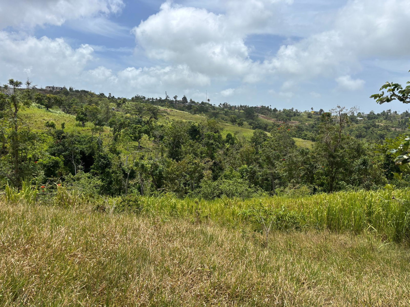 Seventh image of Free Hill Road in Bamboo, St. Ann, Jamaica - property is For Sale