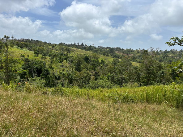Seventh image of Free Hill Road in Bamboo, St. Ann, Jamaica - property is For Sale
