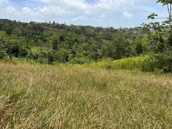 Ninth image of Free Hill Road in Bamboo, St. Ann, Jamaica - property is For Sale