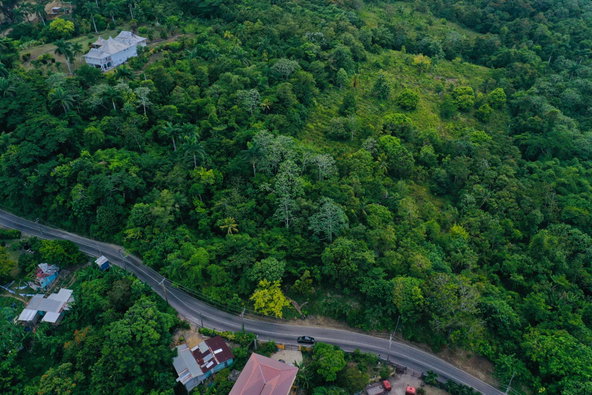 Fourth image of 1 Nonsuch in Highgate, St. Mary, Jamaica - property is For Sale