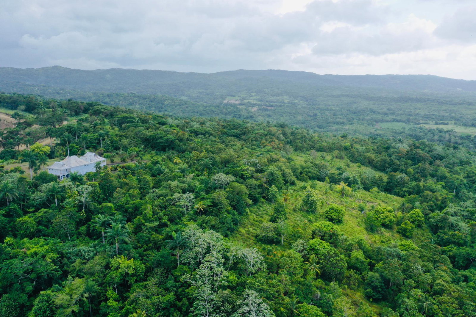 Fifth image of 1 Nonsuch in Highgate, St. Mary, Jamaica - property is For Sale