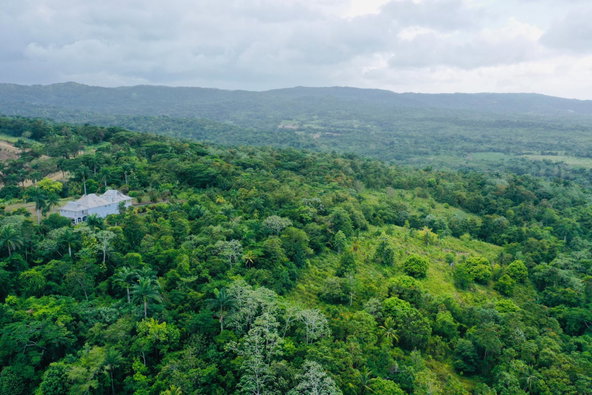 Fifth image of 1 Nonsuch in Highgate, St. Mary, Jamaica - property is For Sale