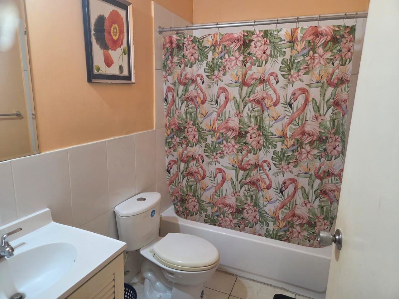 Sixth image of 560 Jacaranda (whitewater Gl) in JACARANDA (U/C), St. Catherine, Jamaica - property is For Rent