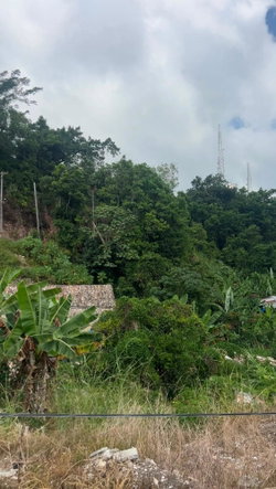 Second image of 5-lot 39 Shoucair in Kingston 19, St. Andrew, Jamaica - property is For Sale