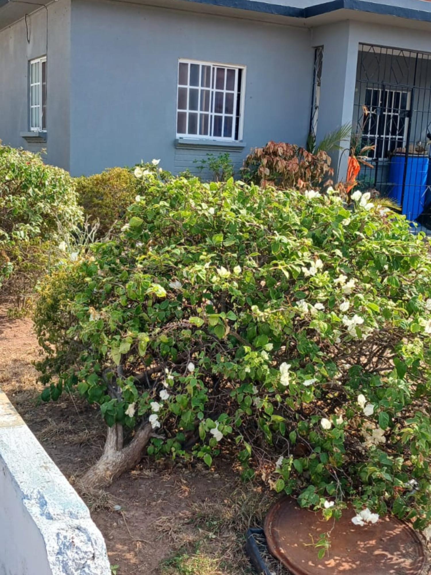 Seventh image of Lot 87 Mount Royal Estate, St. c in Mount Royal Estate, St. Catherine, Jamaica - property is For Sale