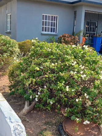 Seventh image of Lot 87 Mount Royal Estate, St. c in Mount Royal Estate, St. Catherine, Jamaica - property is For Sale