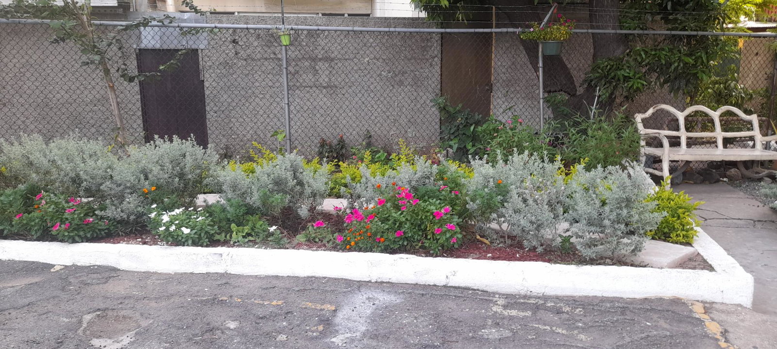 Third image of 503-17 Oxford Road in Kingston 5, St. Andrew, Jamaica - property is For Rent