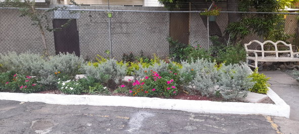 Third image of 503-17 Oxford Road in Kingston 5, St. Andrew, Jamaica - property is For Rent