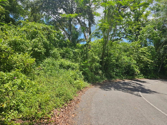First image of Copse Lethe in Lethe, Hanover, Jamaica - property is For Sale