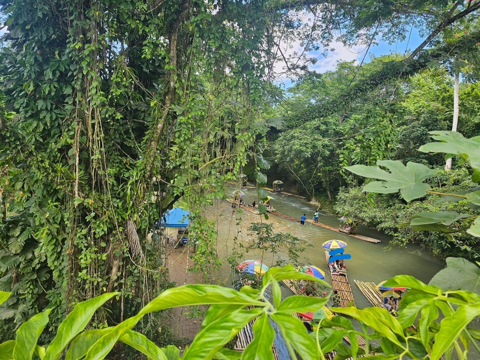 Twelfth image of Copse Lethe in Lethe, Hanover, Jamaica - property is For Sale
