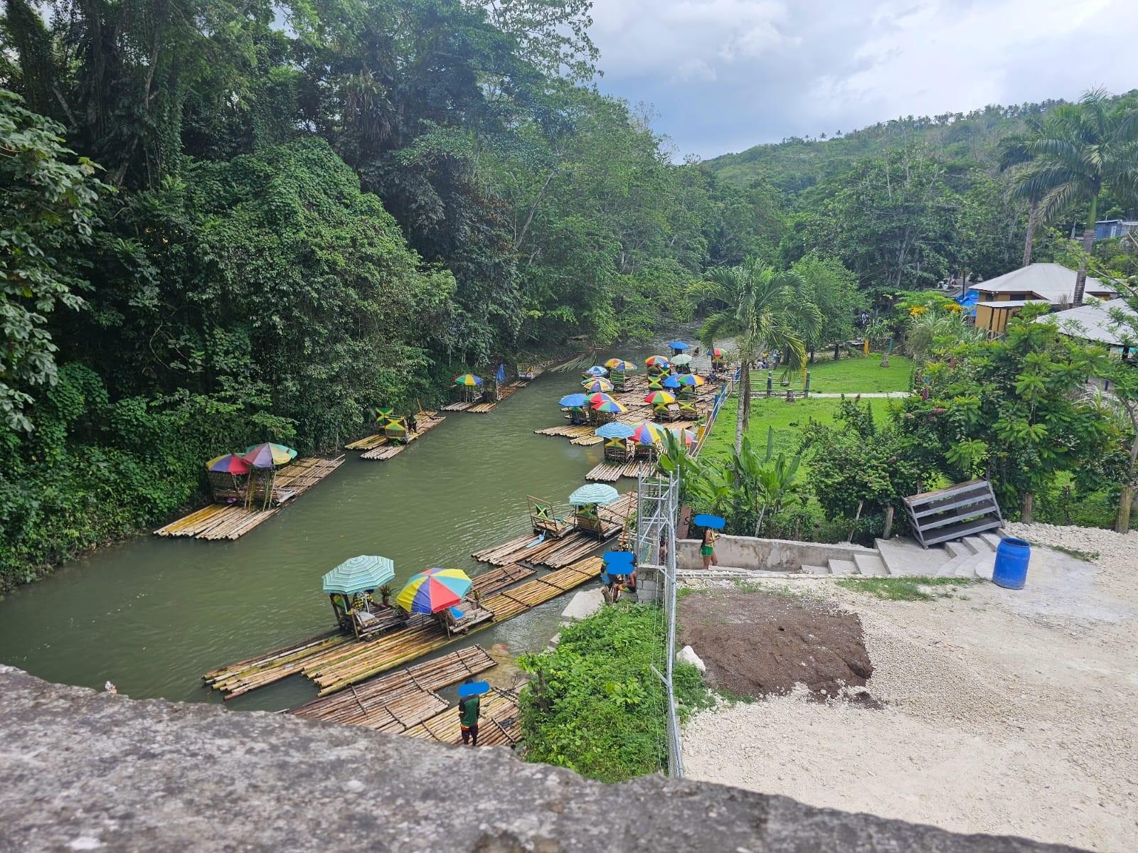 Thirteenth image of Copse Lethe in Lethe, Hanover, Jamaica - property is For Sale