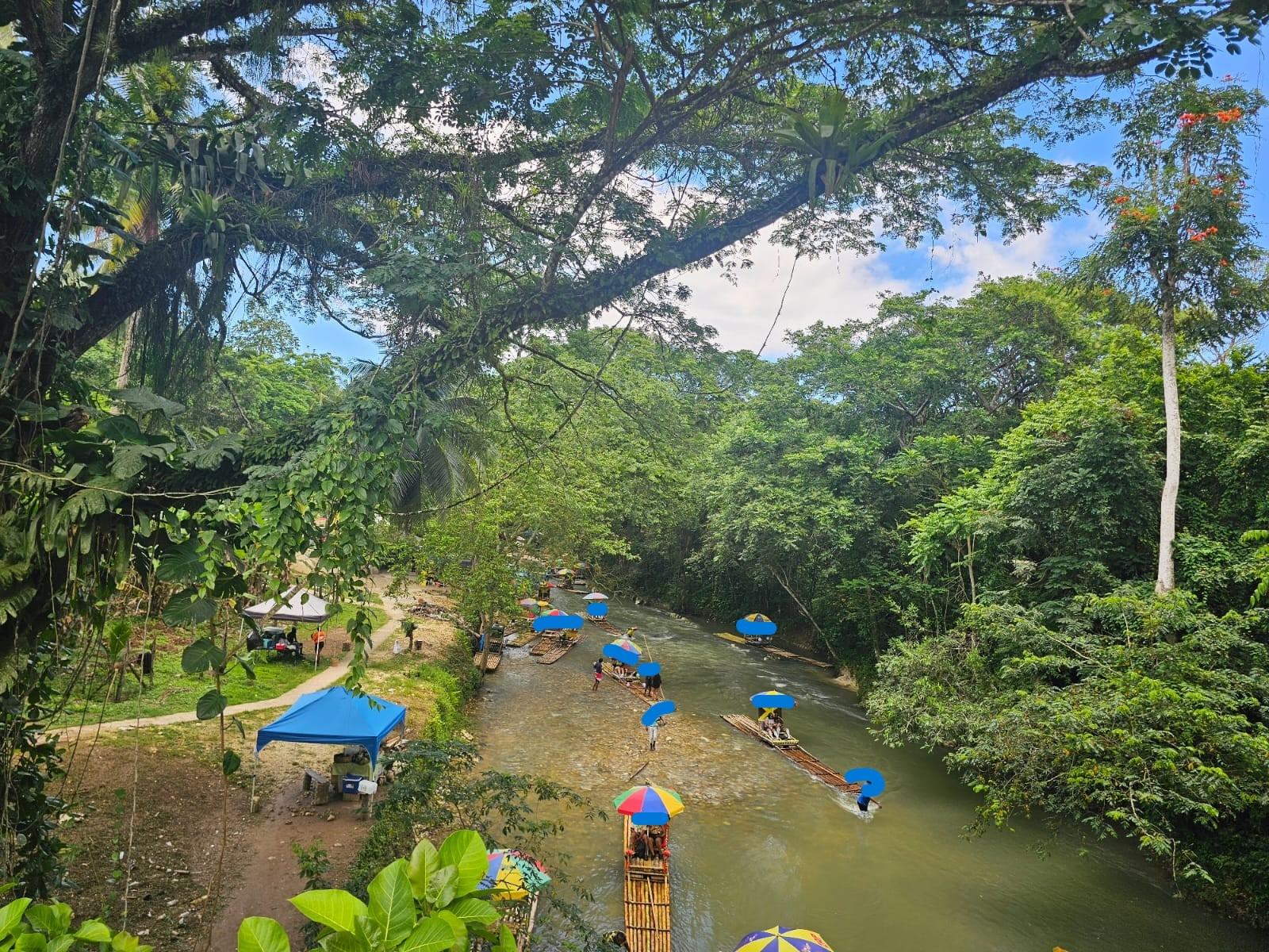 Fourteenth image of Copse Lethe in Lethe, Hanover, Jamaica - property is For Sale