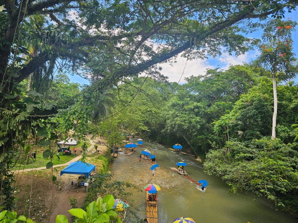 Fourteenth image of Copse Lethe in Lethe, Hanover, Jamaica - property is For Sale