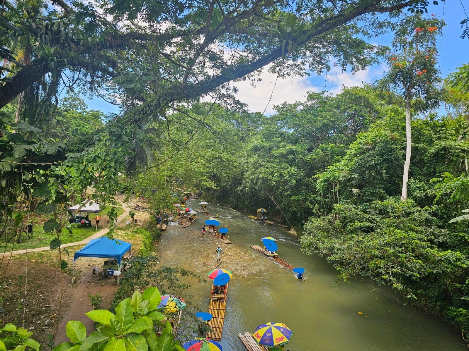 Fifteenth image of Copse Lethe in Lethe, Hanover, Jamaica - property is For Sale