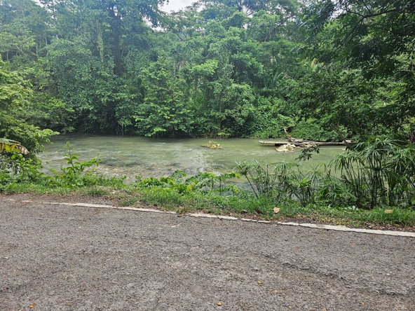 Eighteenth image of Copse Lethe in Lethe, Hanover, Jamaica - property is For Sale