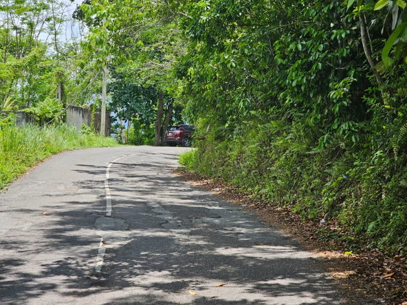 Nineteenth image of Copse Lethe in Lethe, Hanover, Jamaica - property is For Sale