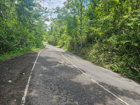 Twenty-Fifth image of Copse Lethe in Lethe, Hanover, Jamaica - property is For Sale