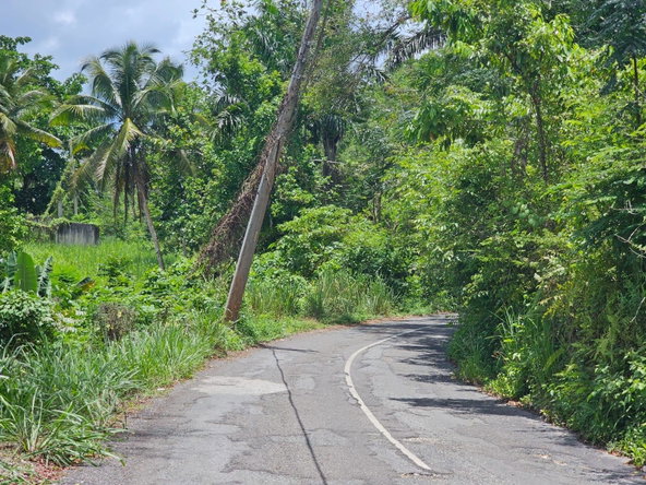 Twenty-Eighth image of Copse Lethe in Lethe, Hanover, Jamaica - property is For Sale
