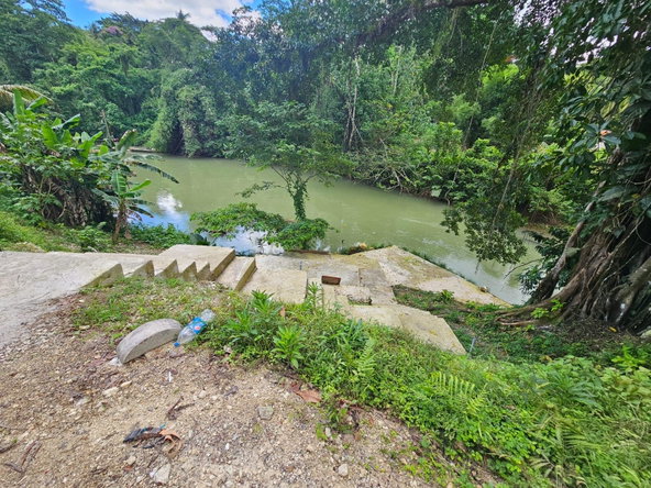 Fifth image of Copse Lethe in Lethe, Hanover, Jamaica - property is For Sale