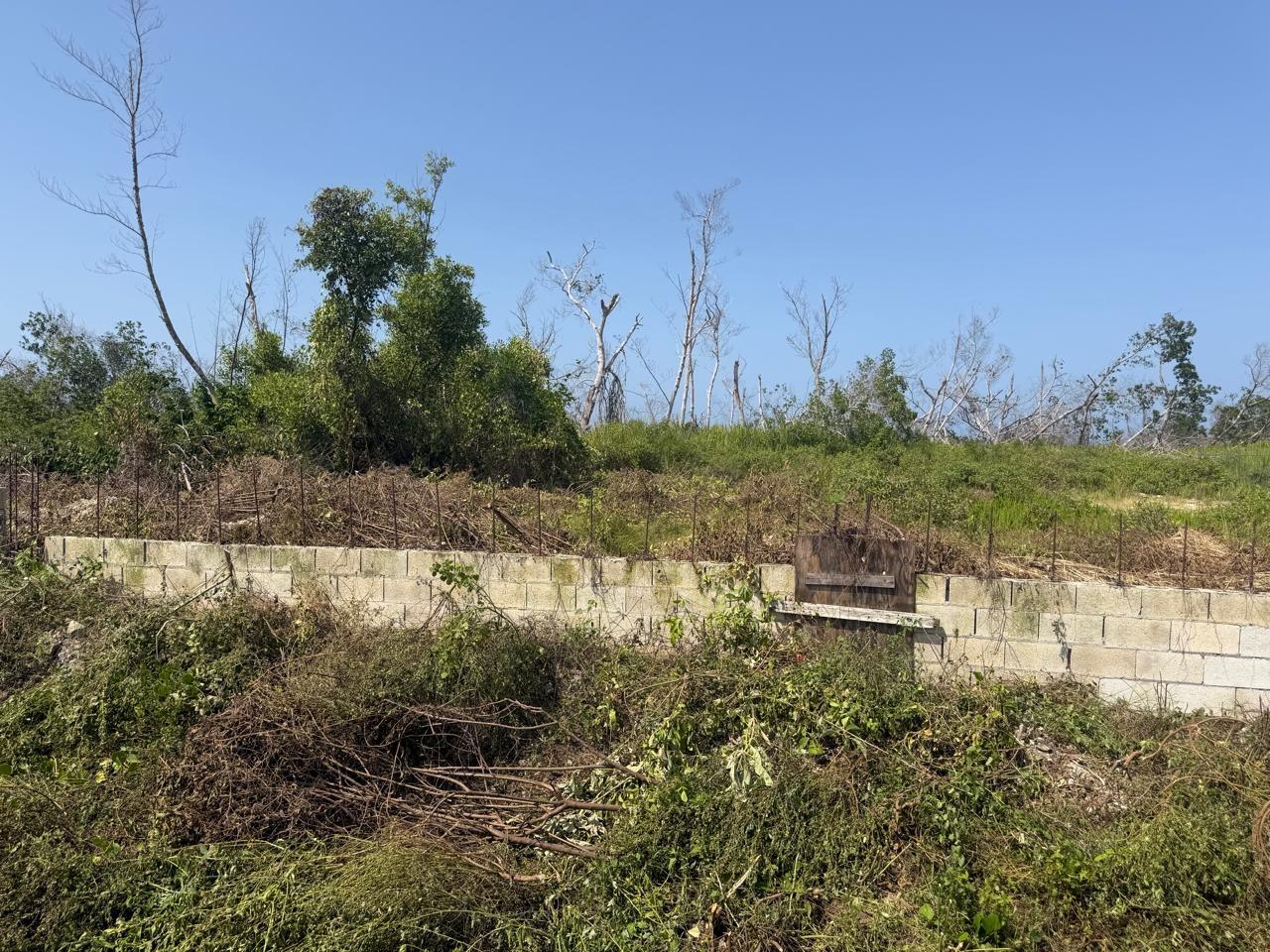 First image of Salt Marsh , Trelawny, in Salt Marsh, Trelawny, Jamaica - property is For Sale