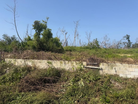 First image of Salt Marsh , Trelawny, in Salt Marsh, Trelawny, Jamaica - property is For Sale