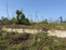 First image of Salt Marsh , Trelawny, in Salt Marsh, Trelawny, Jamaica - property is For Sale