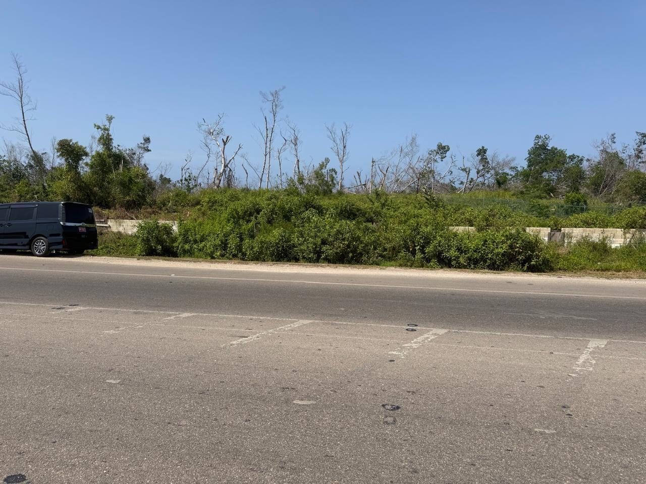 Third image of Salt Marsh , Trelawny, in Salt Marsh, Trelawny, Jamaica - property is For Sale