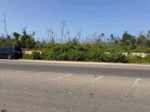 Third image of Salt Marsh , Trelawny, in Salt Marsh, Trelawny, Jamaica - property is For Sale