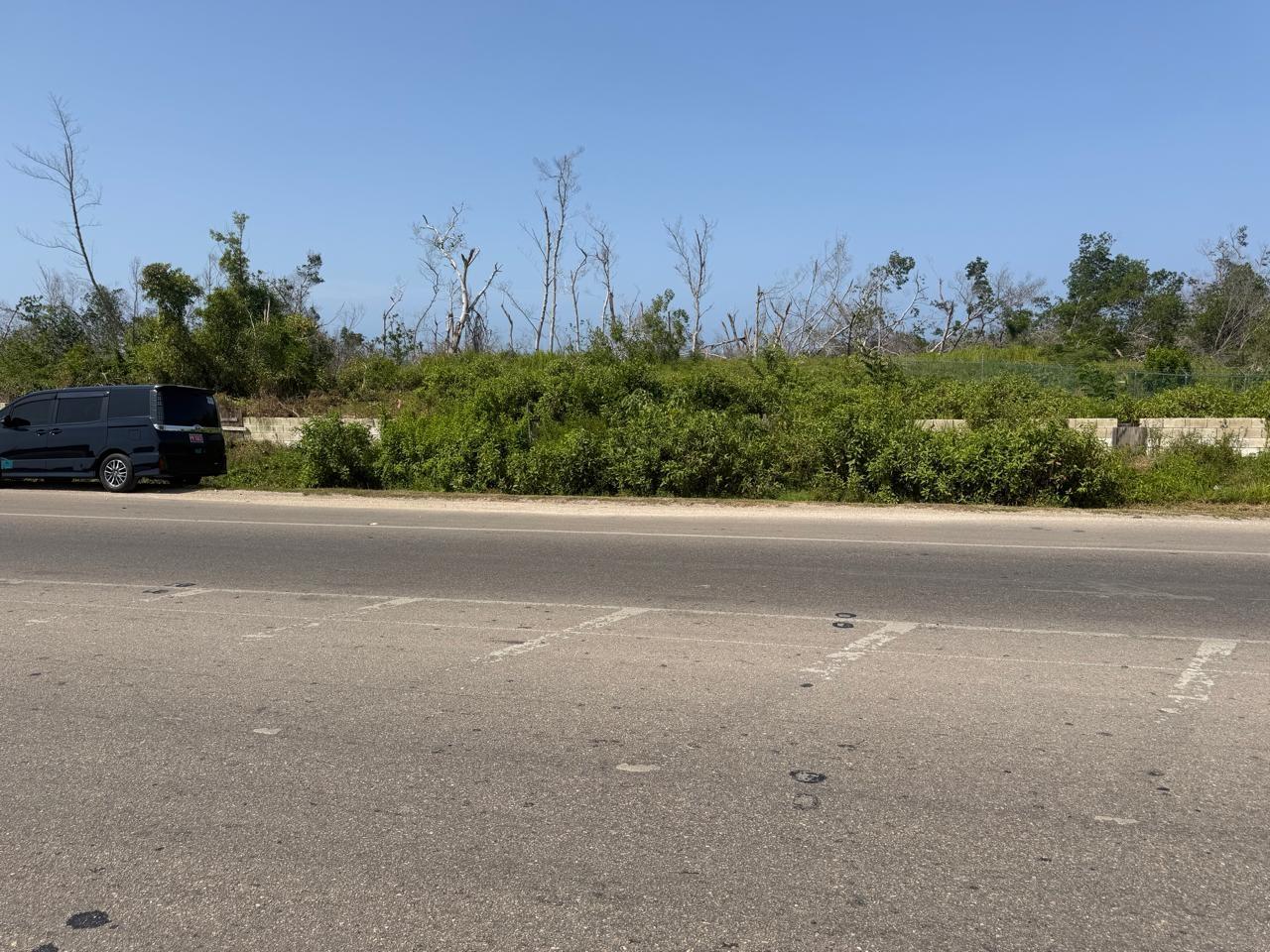 Fourth image of Salt Marsh , Trelawny, in Salt Marsh, Trelawny, Jamaica - property is For Sale