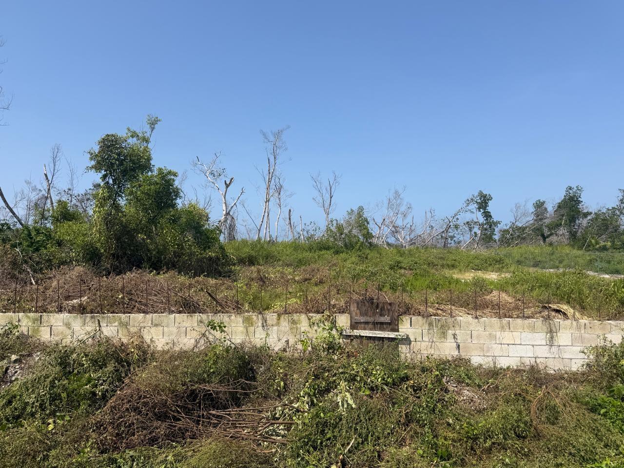 Seventh image of Salt Marsh , Trelawny, in Salt Marsh, Trelawny, Jamaica - property is For Sale