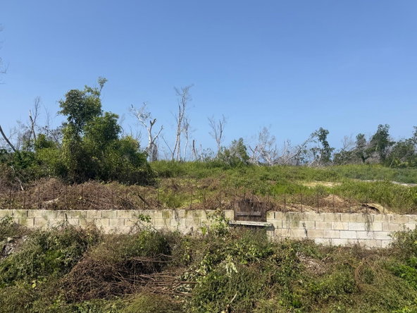 Seventh image of Salt Marsh , Trelawny, in Salt Marsh, Trelawny, Jamaica - property is For Sale