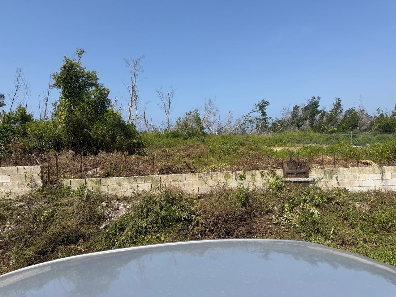 Eighth image of Salt Marsh , Trelawny, in Salt Marsh, Trelawny, Jamaica - property is For Sale