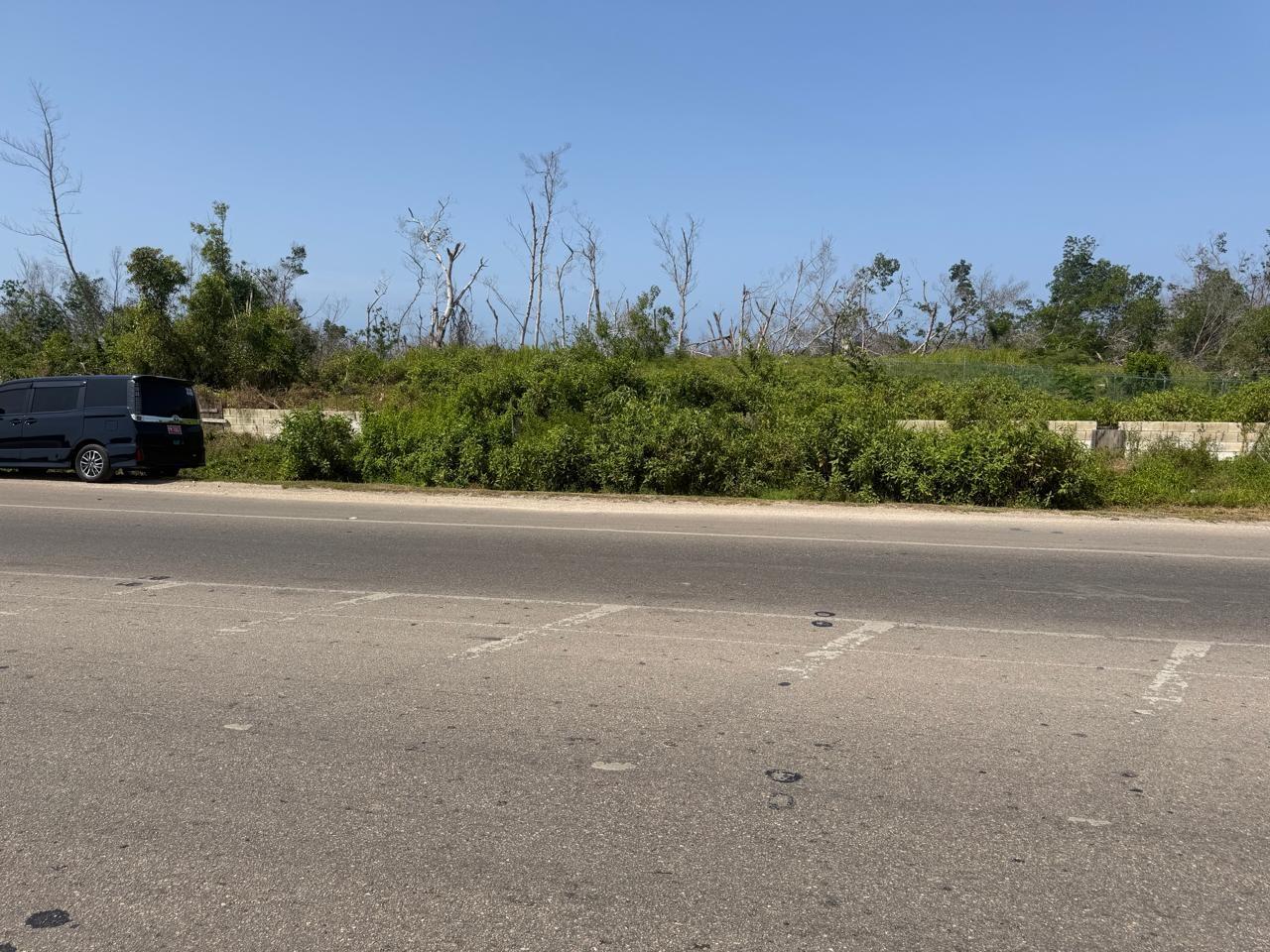 Ninth image of Salt Marsh , Trelawny, in Salt Marsh, Trelawny, Jamaica - property is For Sale