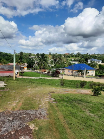 Twenty-First image of Daleys Grove, New Port, m in Newport, Manchester, Jamaica - property is For Sale