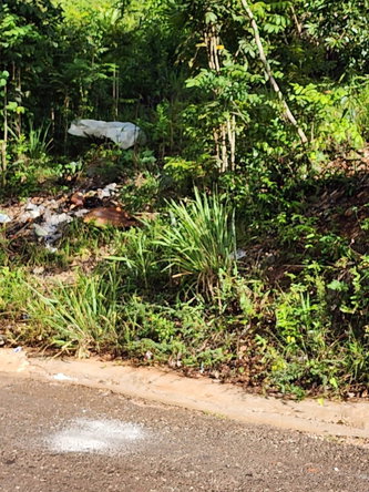 First image of 3 Pusey Hill, Manchester in Pratville, Manchester, Jamaica - property is For Sale