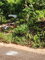 First image of 3 Pusey Hill, Manchester in Pratville, Manchester, Jamaica - property is For Sale