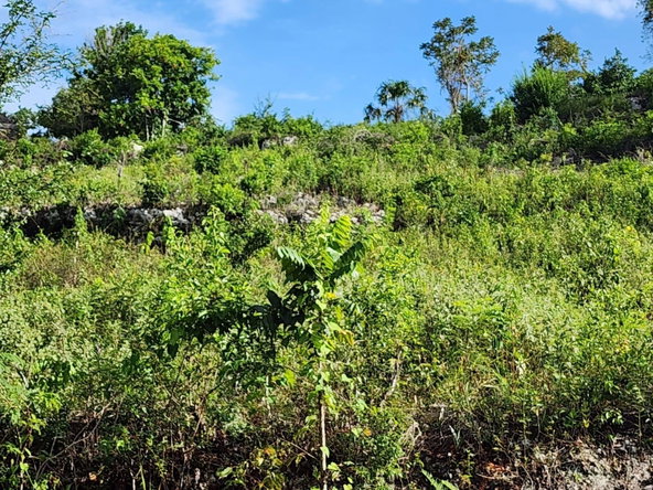 Second image of 3 Pusey Hill, Manchester in Pratville, Manchester, Jamaica - property is For Sale