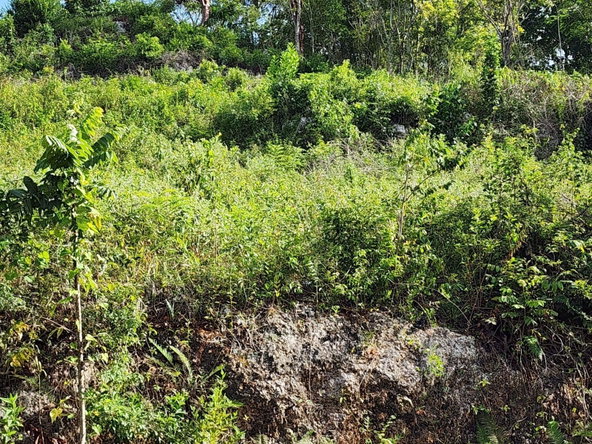 Fourth image of 3 Pusey Hill, Manchester in Pratville, Manchester, Jamaica - property is For Sale