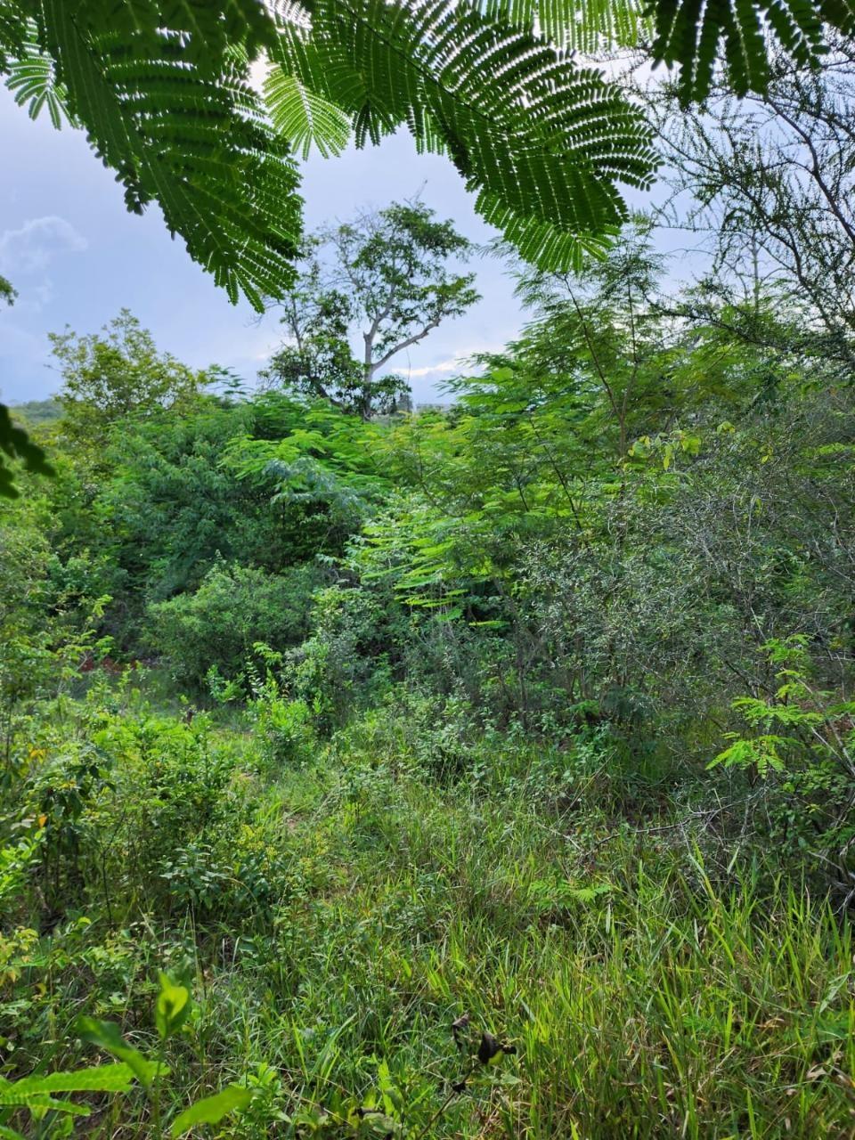 Thirteenth image of 4 Pusey Hill, Manchester in Pratville, Manchester, Jamaica - property is For Sale
