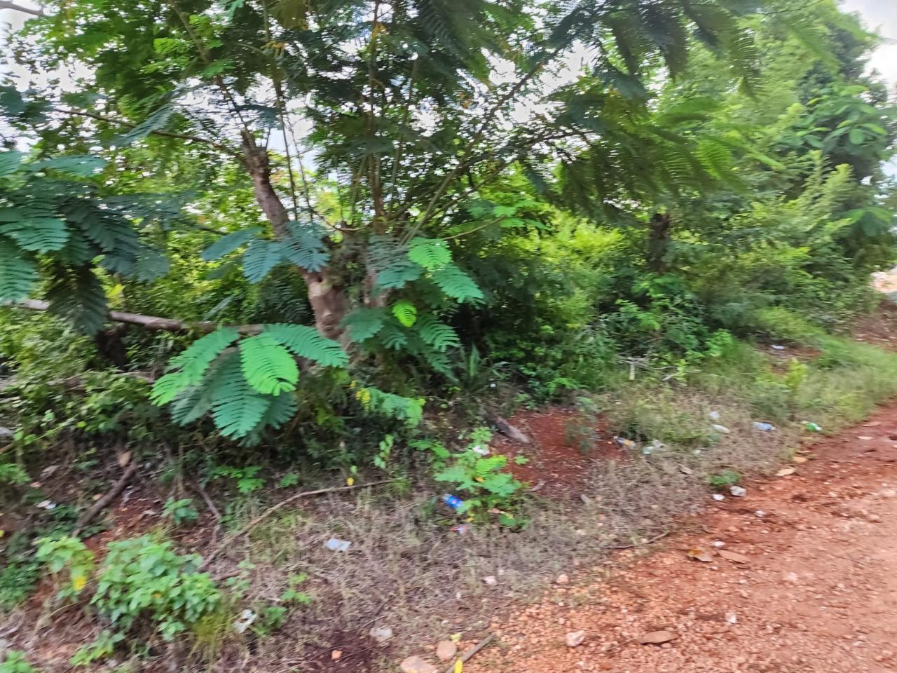 Fourteenth image of 4 Pusey Hill, Manchester in Pratville, Manchester, Jamaica - property is For Sale