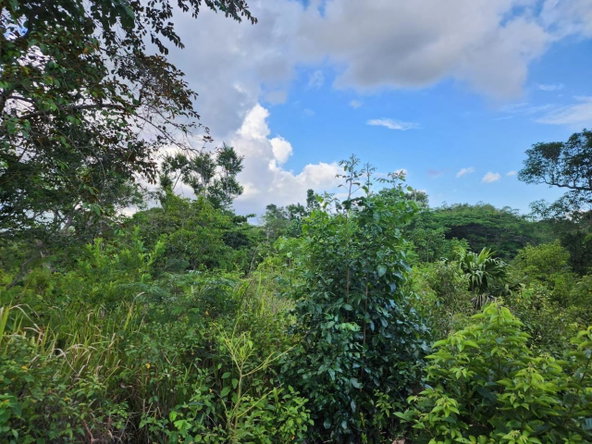 Third image of 4 Pusey Hill, Manchester in Pratville, Manchester, Jamaica - property is For Sale