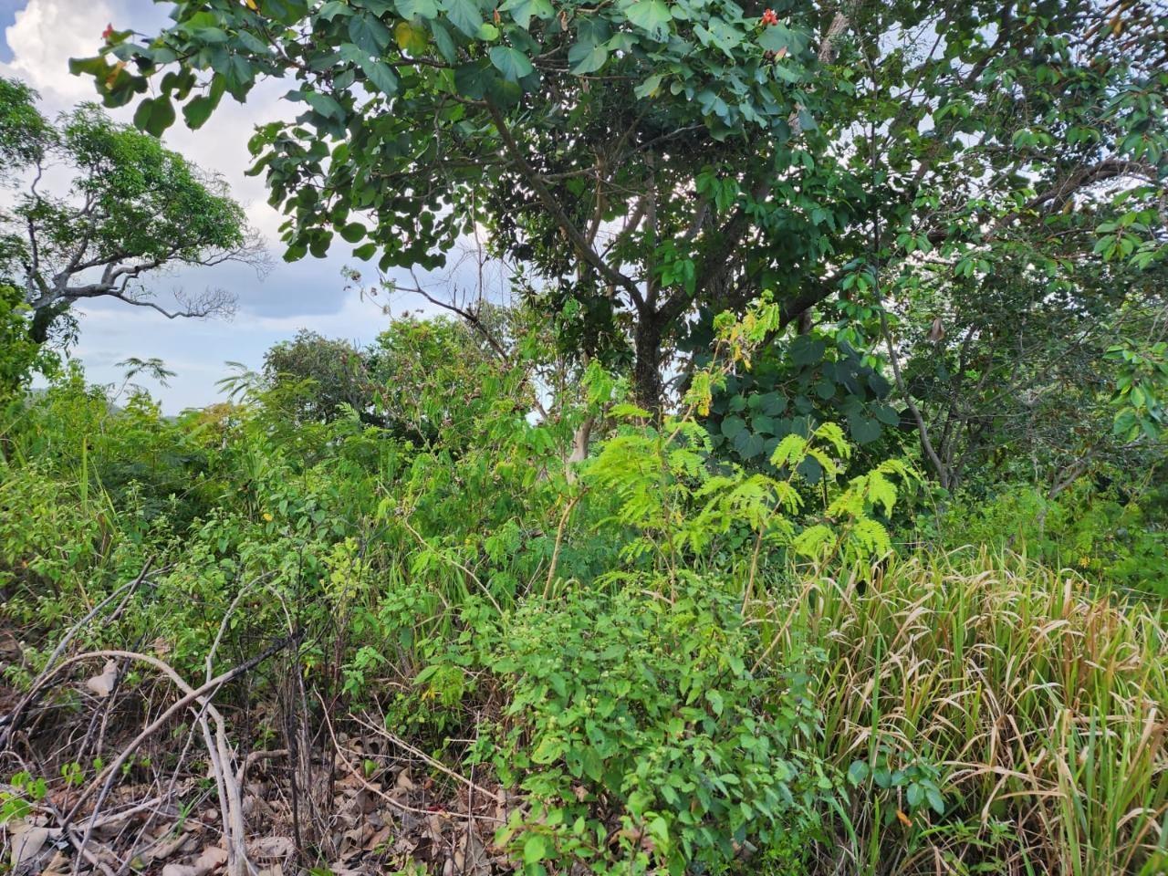 Fifth image of 4 Pusey Hill, Manchester in Pratville, Manchester, Jamaica - property is For Sale