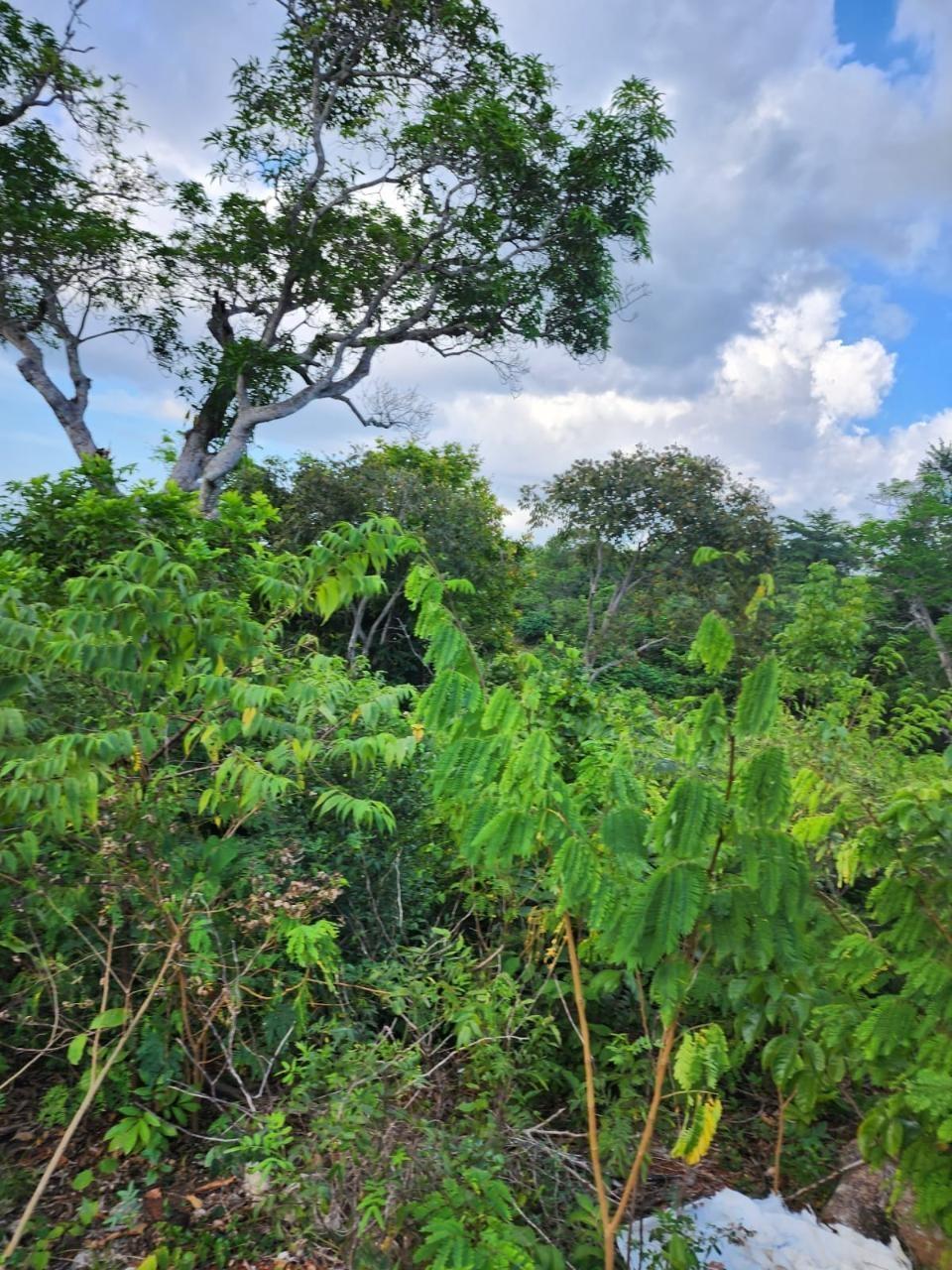 Seventh image of 4 Pusey Hill, Manchester in Pratville, Manchester, Jamaica - property is For Sale