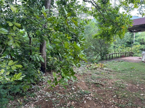 Fifth image of Spring Grove Porus Manche in Spring Grove, Manchester, Jamaica - property is For Sale