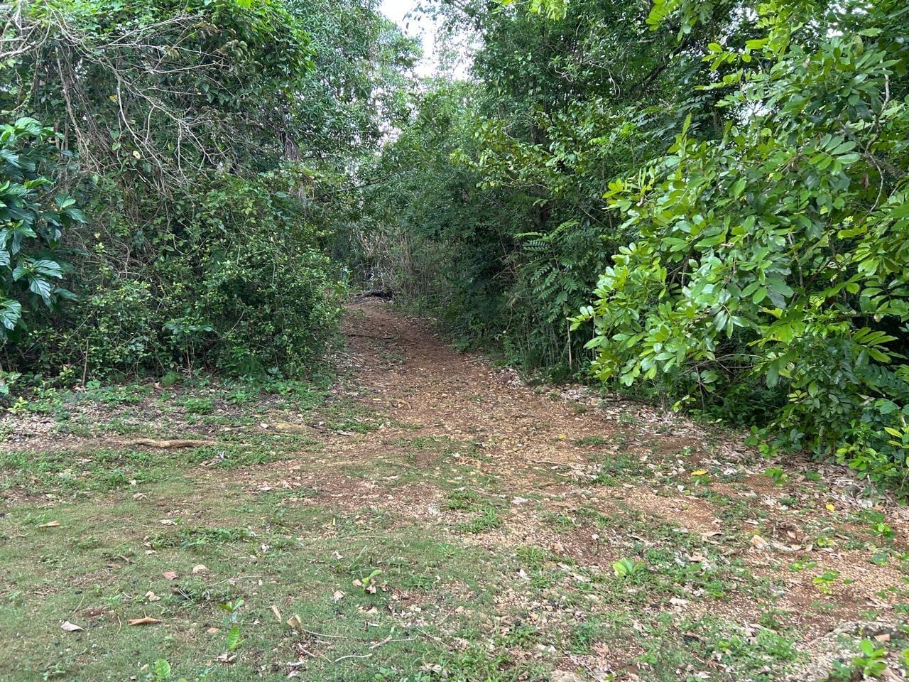 Sixth image of Spring Grove Porus Manche in Spring Grove, Manchester, Jamaica - property is For Sale