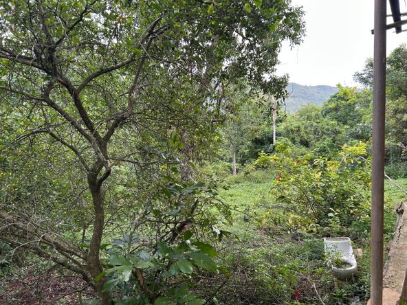 Seventh image of Spring Grove Porus Manche in Spring Grove, Manchester, Jamaica - property is For Sale