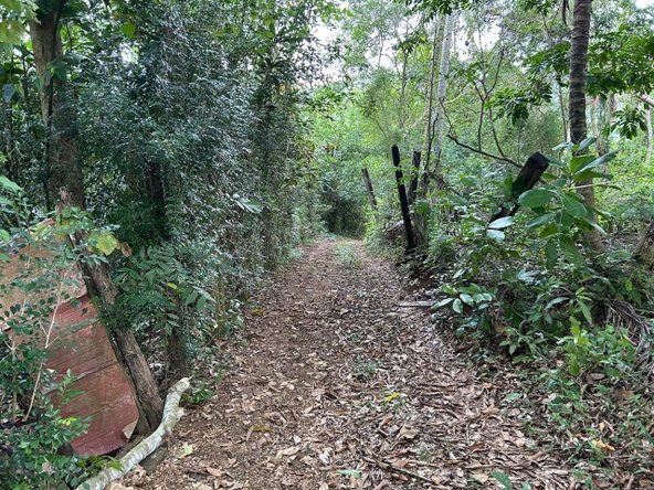 Eighth image of Spring Grove Porus Manche in Spring Grove, Manchester, Jamaica - property is For Sale