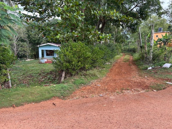 Ninth image of Spring Grove Porus Manche in Spring Grove, Manchester, Jamaica - property is For Sale